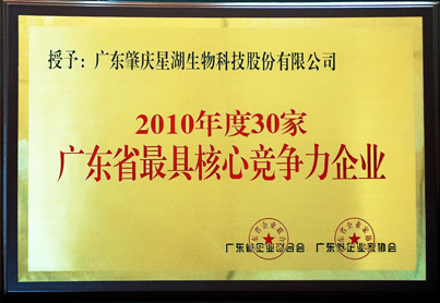 广东最具核心竞争力企业